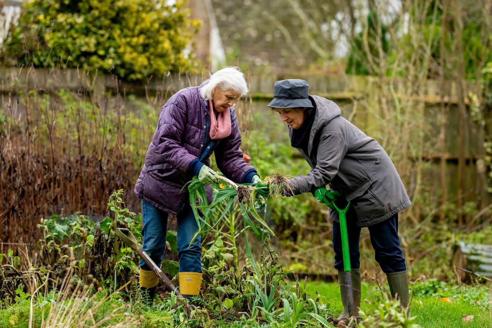 Aged care gardening and grounds care Sydney